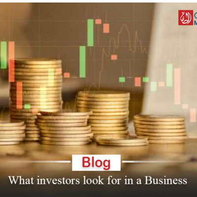 7 Things Investors look for in a Business